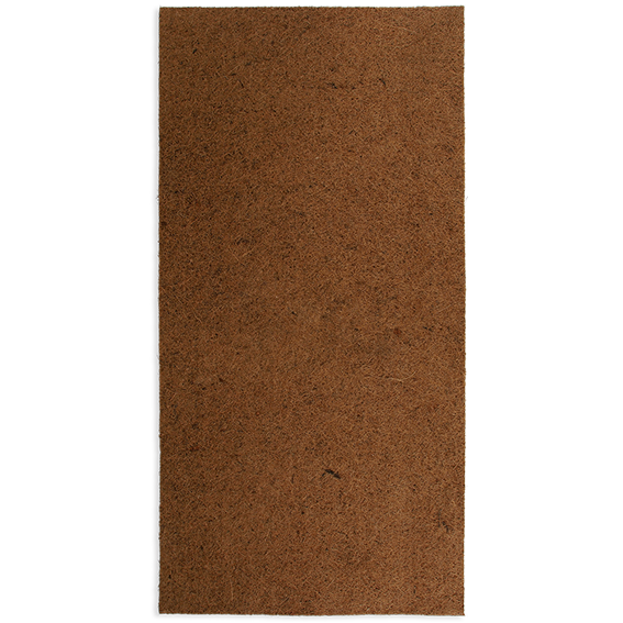 Coco Pad Repti Planet