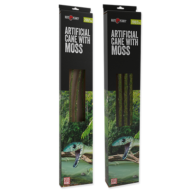 Liane mit Moos Repti Planet