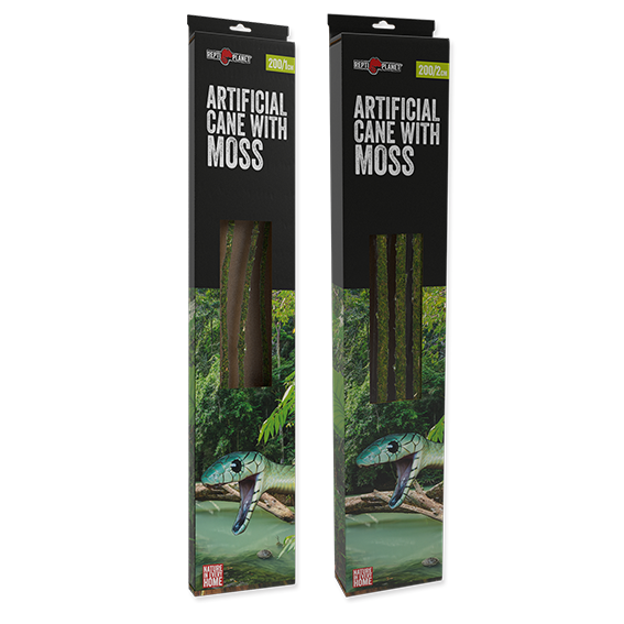 Liane mit Moos Repti Planet
