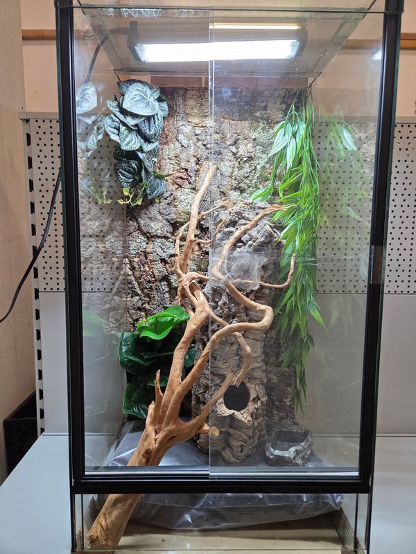 Komplett Set - Glas Terrarium 40x40x80cm