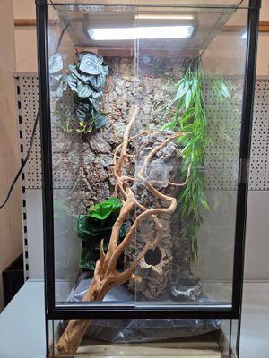 Komplett Set - Glas Terrarium 40x40x80cm