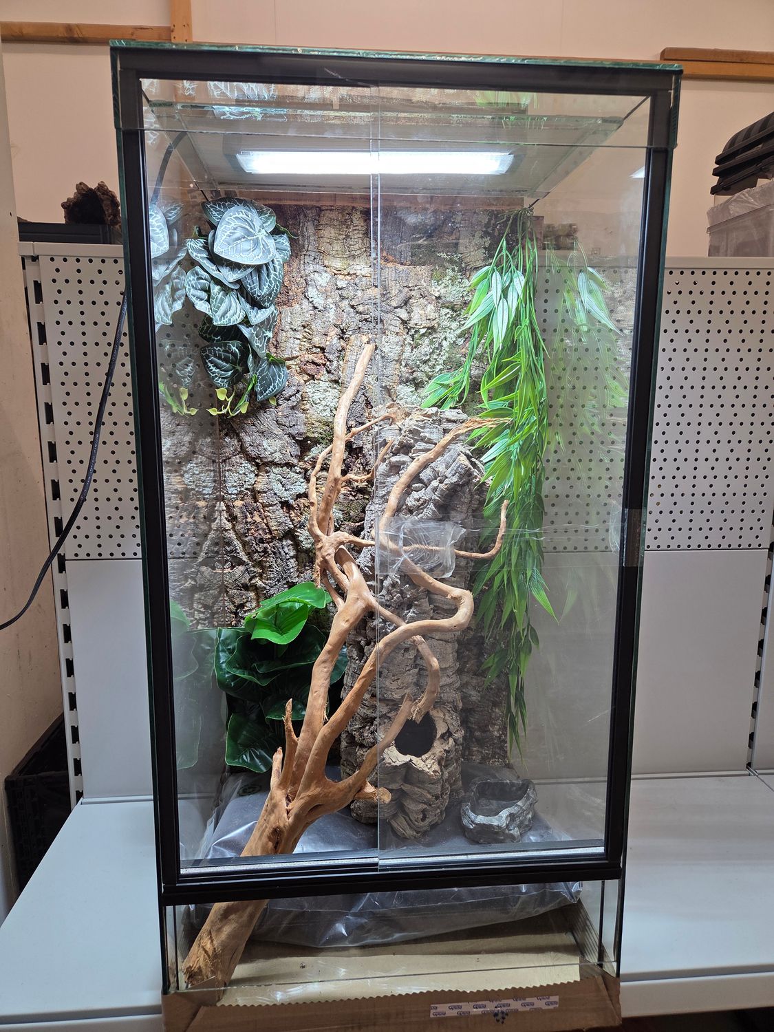 Komplett Set - Glas Terrarium 50x50x100cm