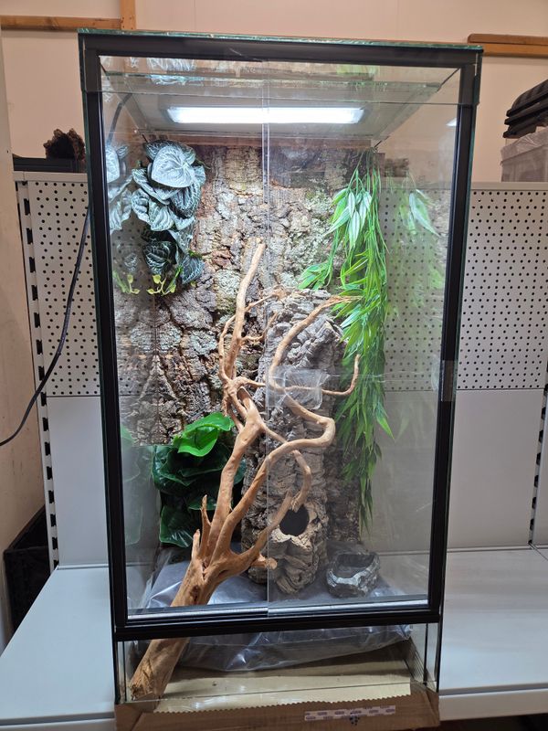 Komplett Set - Glas Terrarium 50x50x100cm