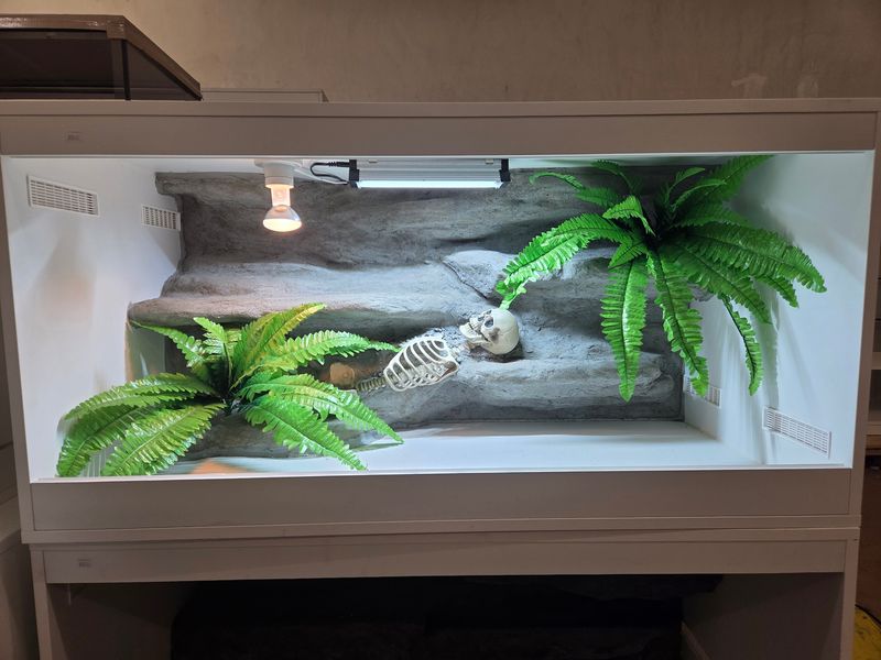 Terrarium 120x60x60cm mit Skelett Rückwand