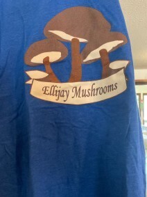 Logo T-shirt