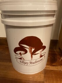Empty 5 Gallon Bucket with Lid