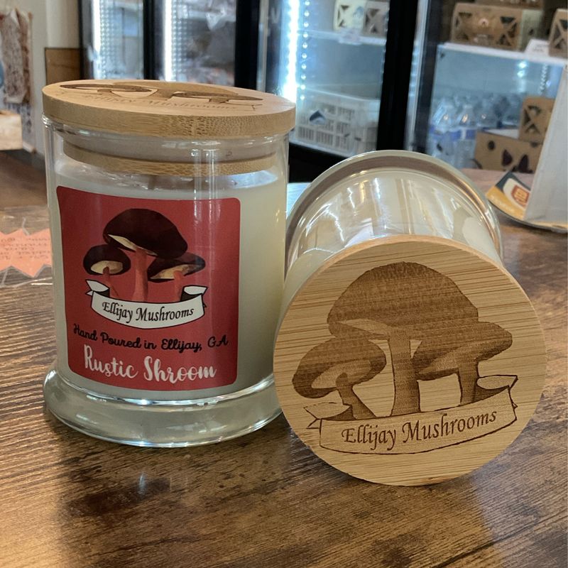 Ellijay Mushroom Candles