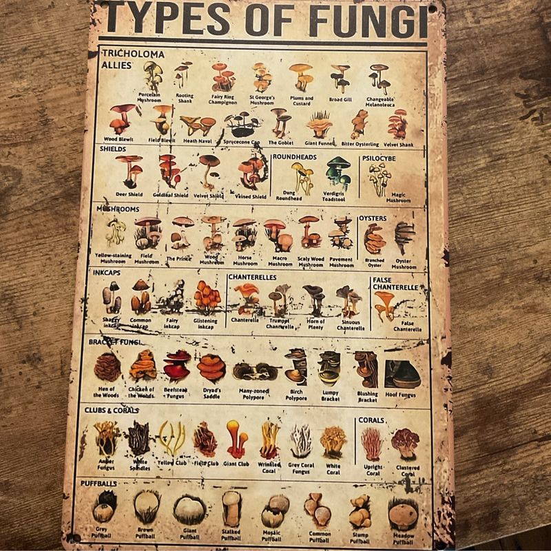 Types of Fungi Tin Sign