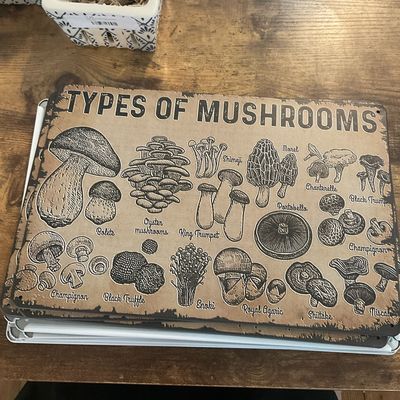 Types of Mushroomm 