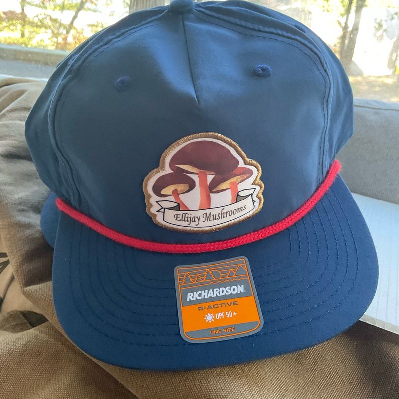 Richardson 256 Rope Snapback