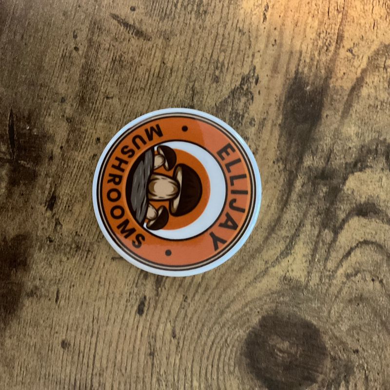 Orange Ellijay Mushroom Magnet
