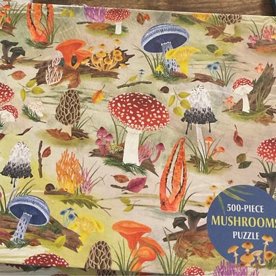 500 Piece Puzzle
