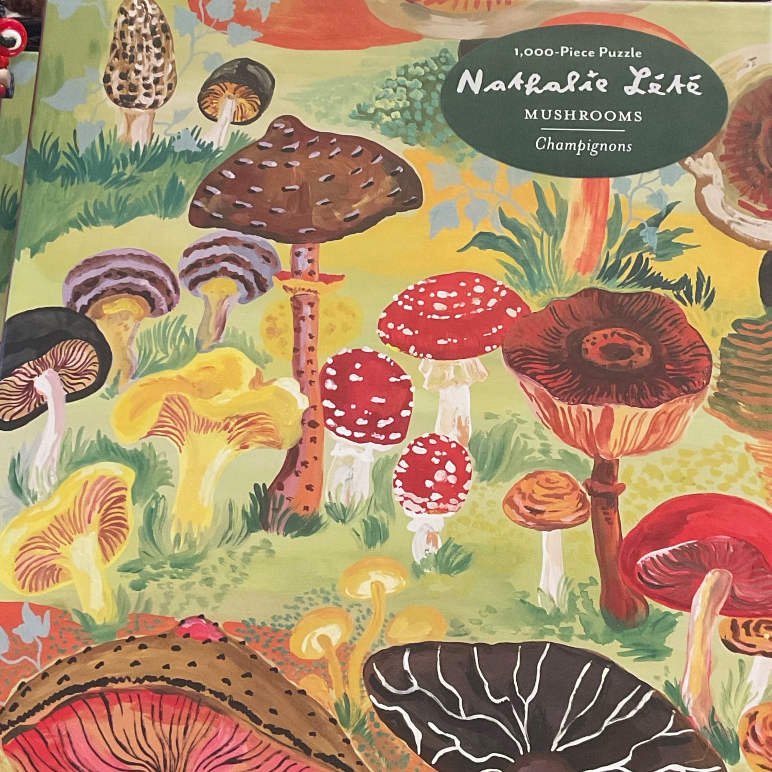 1000 Piece Puzzle