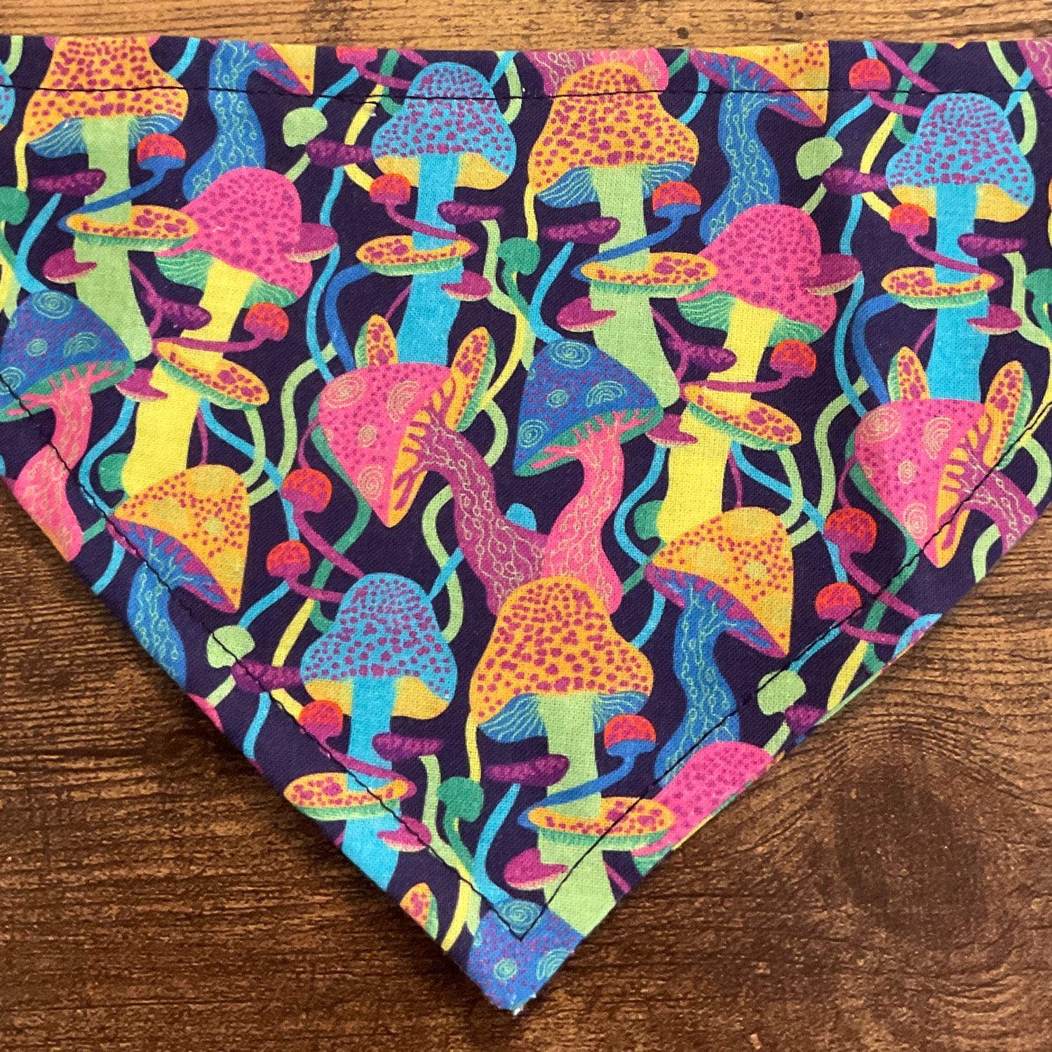 Rainbow dog bandana 