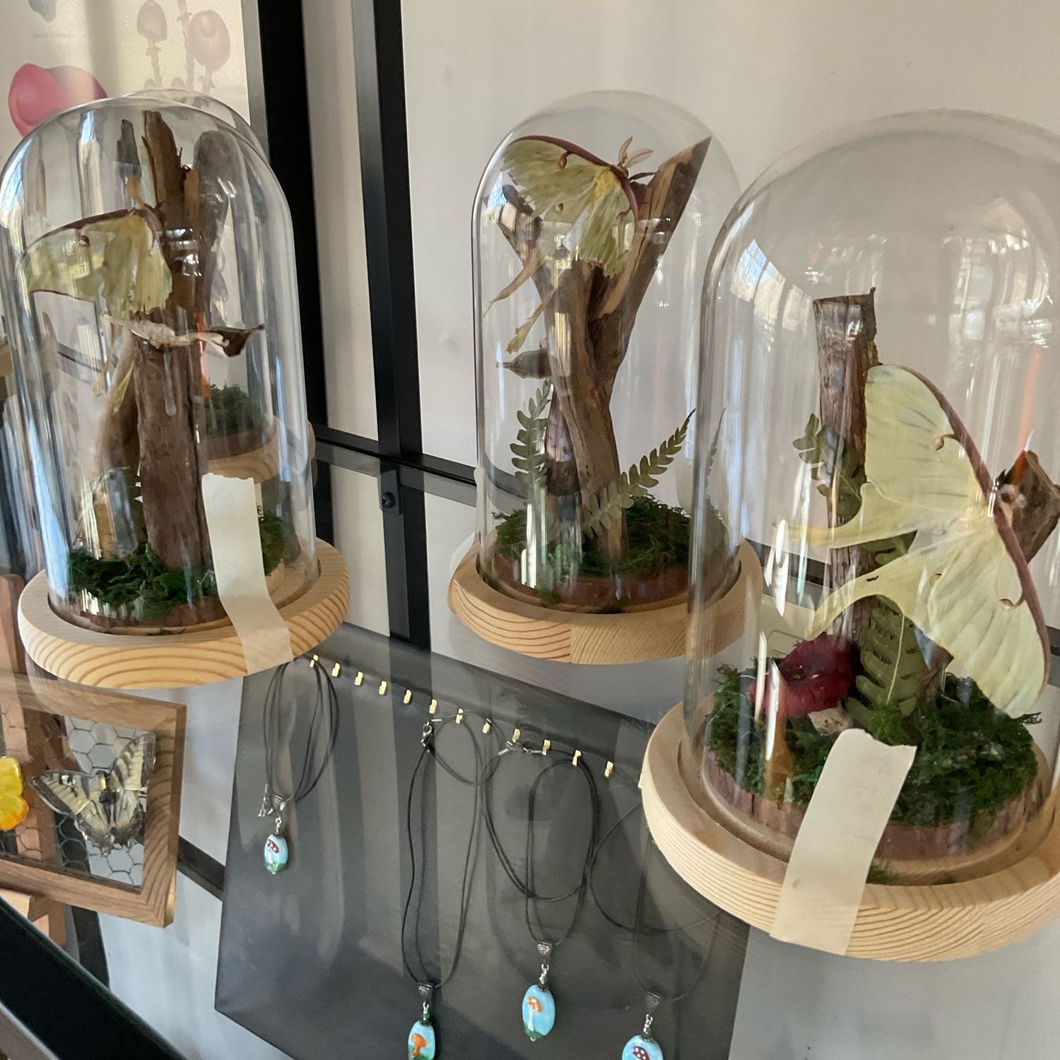 Sunset Forest Moth Globes