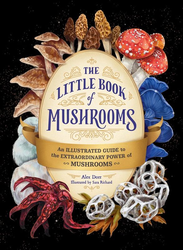 The Little Book of Mushrooms - by Adams Media (Hardcover)