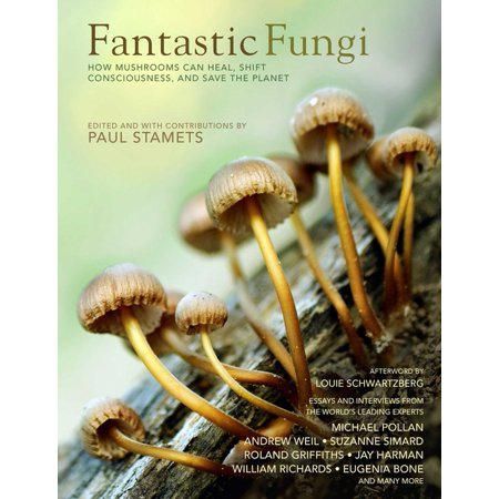 Fantastic Fungi: Expanding Consciousness, Alternative Healing, Environmental Impact // Official Book of Smash Hit Documentary
