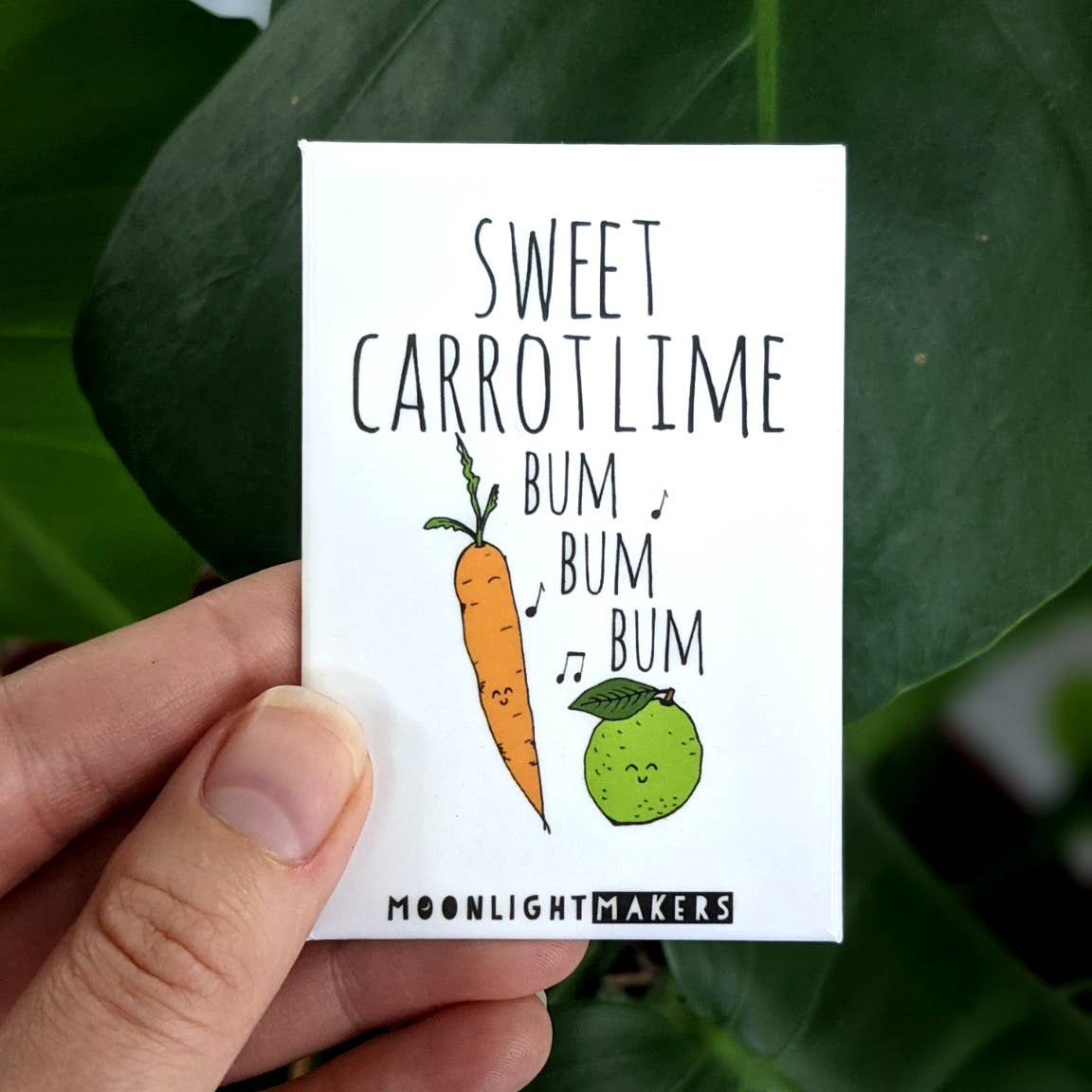 Sweet Carrot Lime - Funny Magnets - CLOSEOUT SALE
