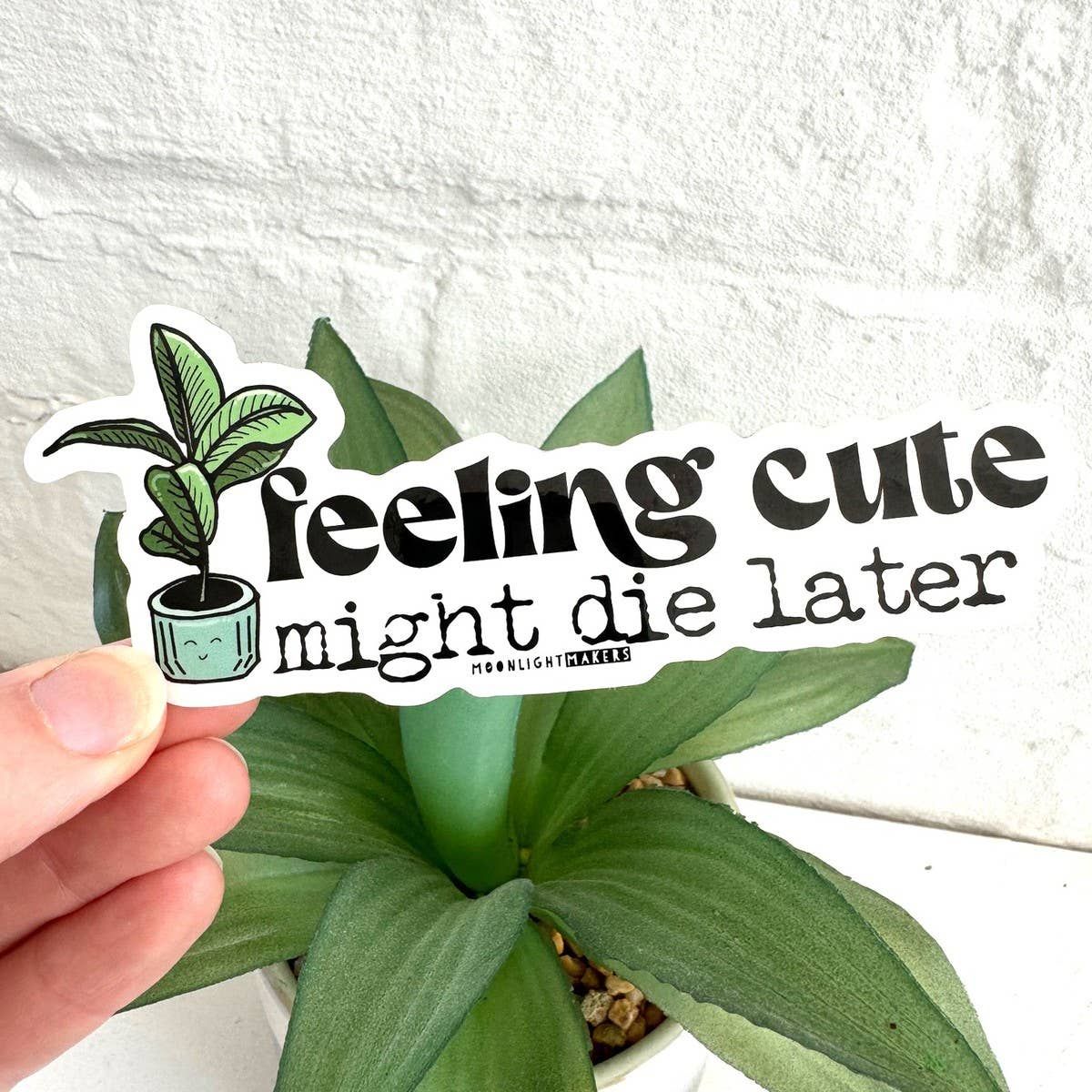 Feeling Cute, Might Die Later - Funny Plant Stickers