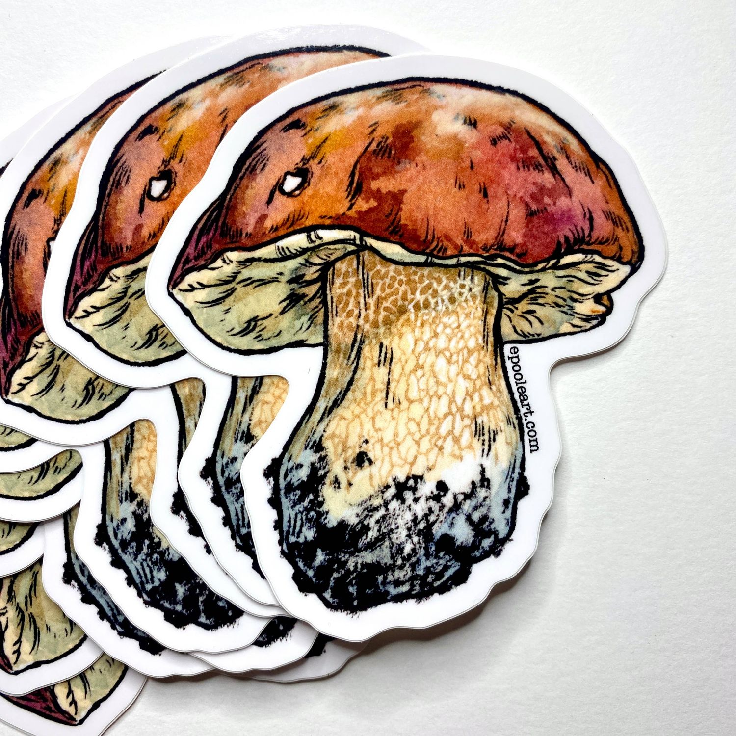 King Bolete Mushroom Vinyl Sticker