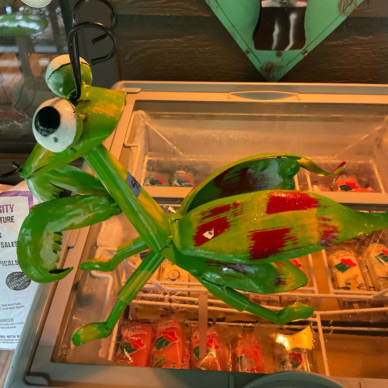 Pray mantis yardart