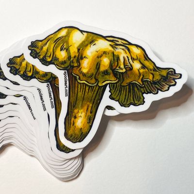 Chanterelle Mushroom Vinyl Sticker