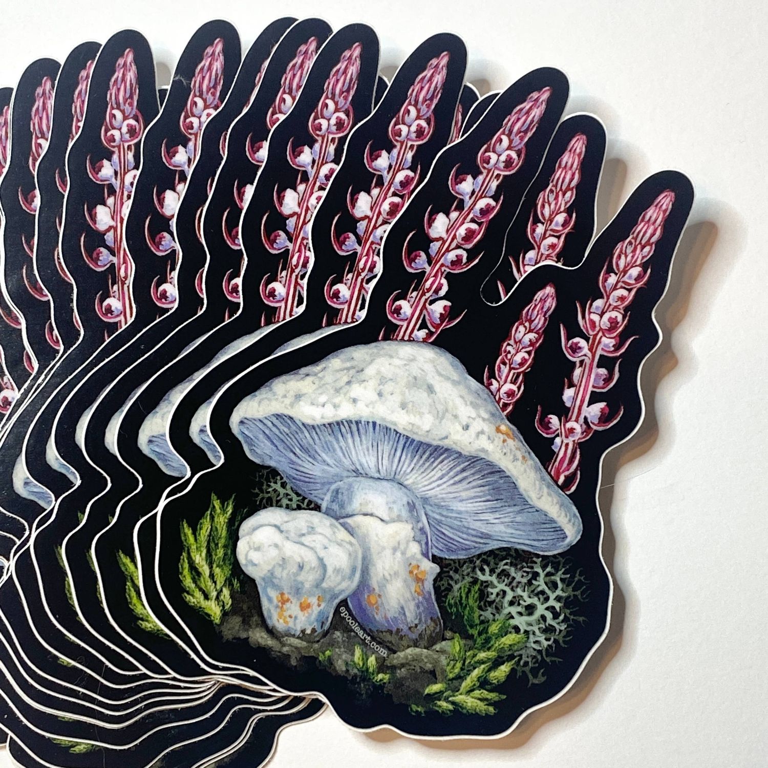Matsutake Mushroom Vinyl Sticker