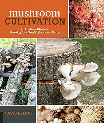 Mushroom Cultivation - by Tavis Lynch (Paperback)
