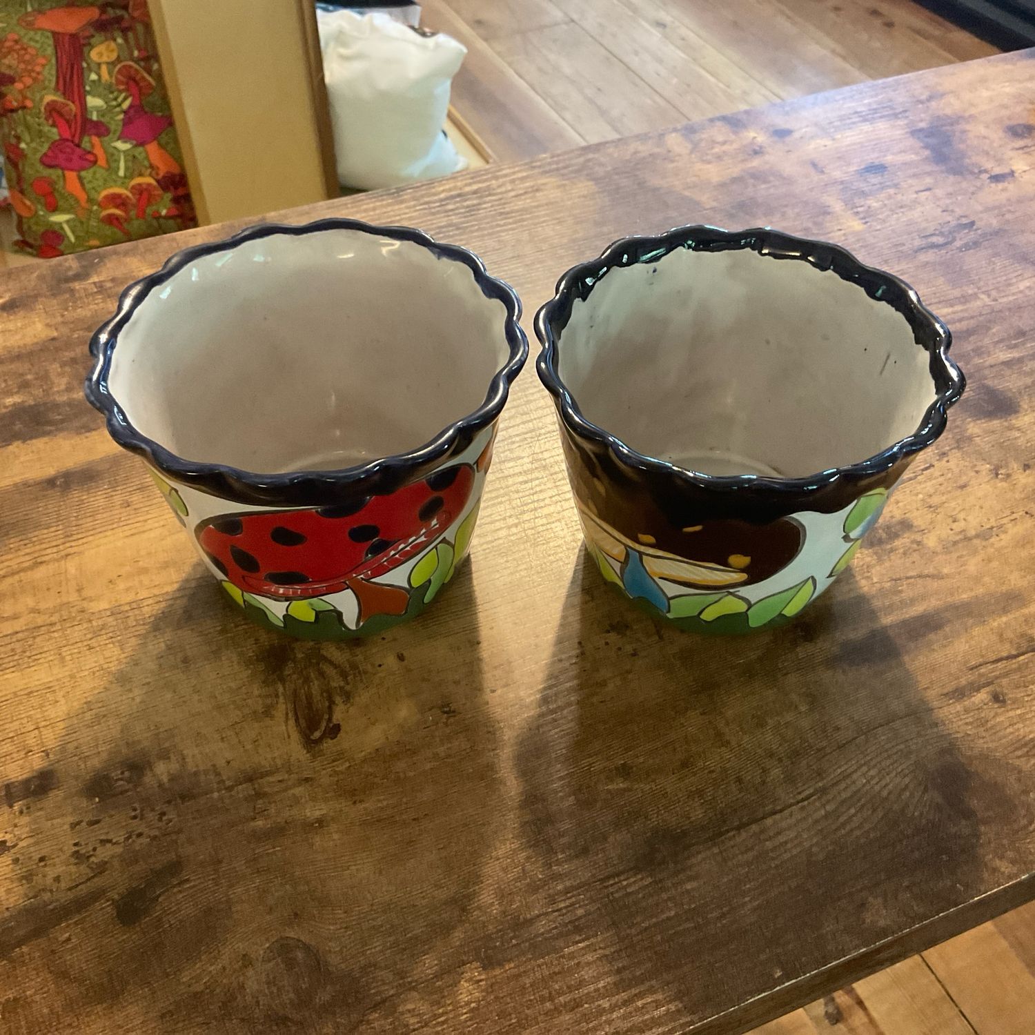 Hand-painted planter pot