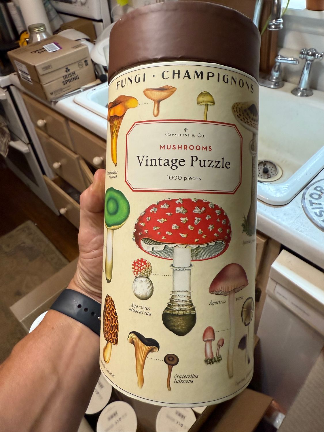 Cavallini Vintage Jigsaw Puzzle Mushrooms