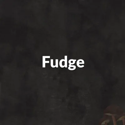 Fudge