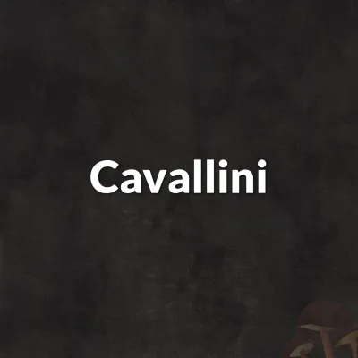 Cavallini
