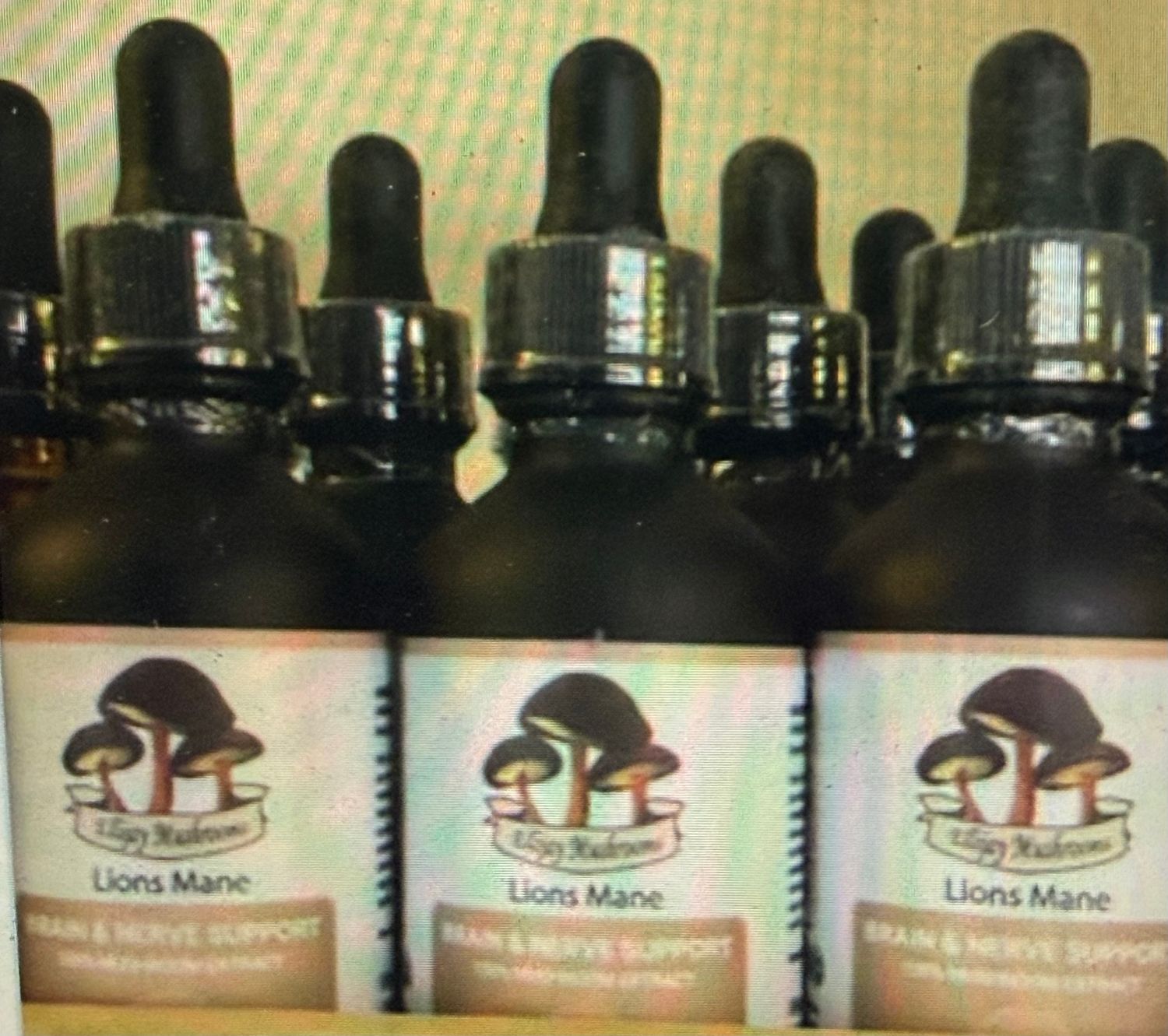 Lions Mane Mushroom Tincture