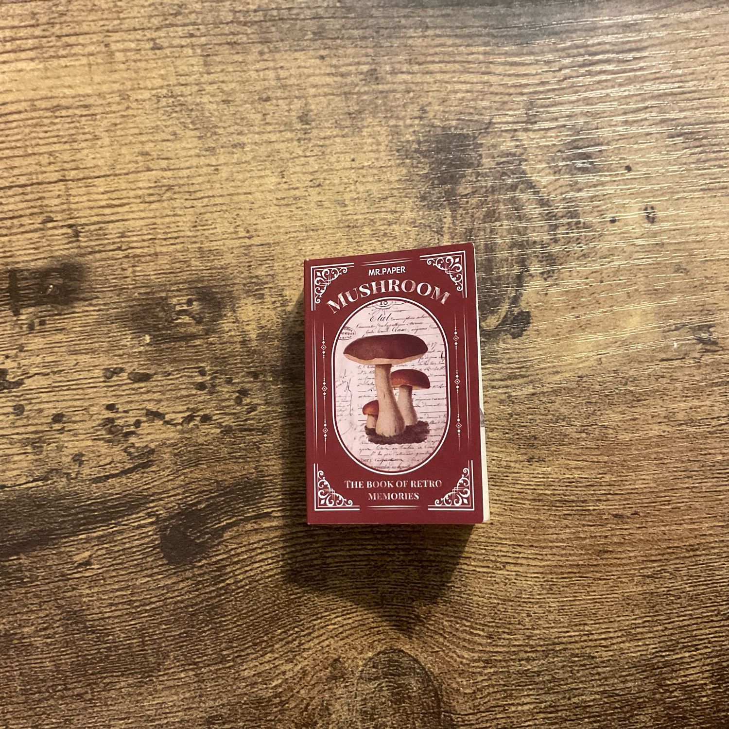 very tiny itty bitty mushroom book