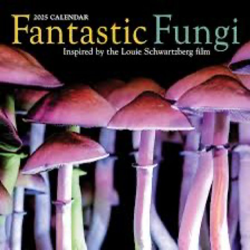 2025 Fantastic Fungi Calendar
