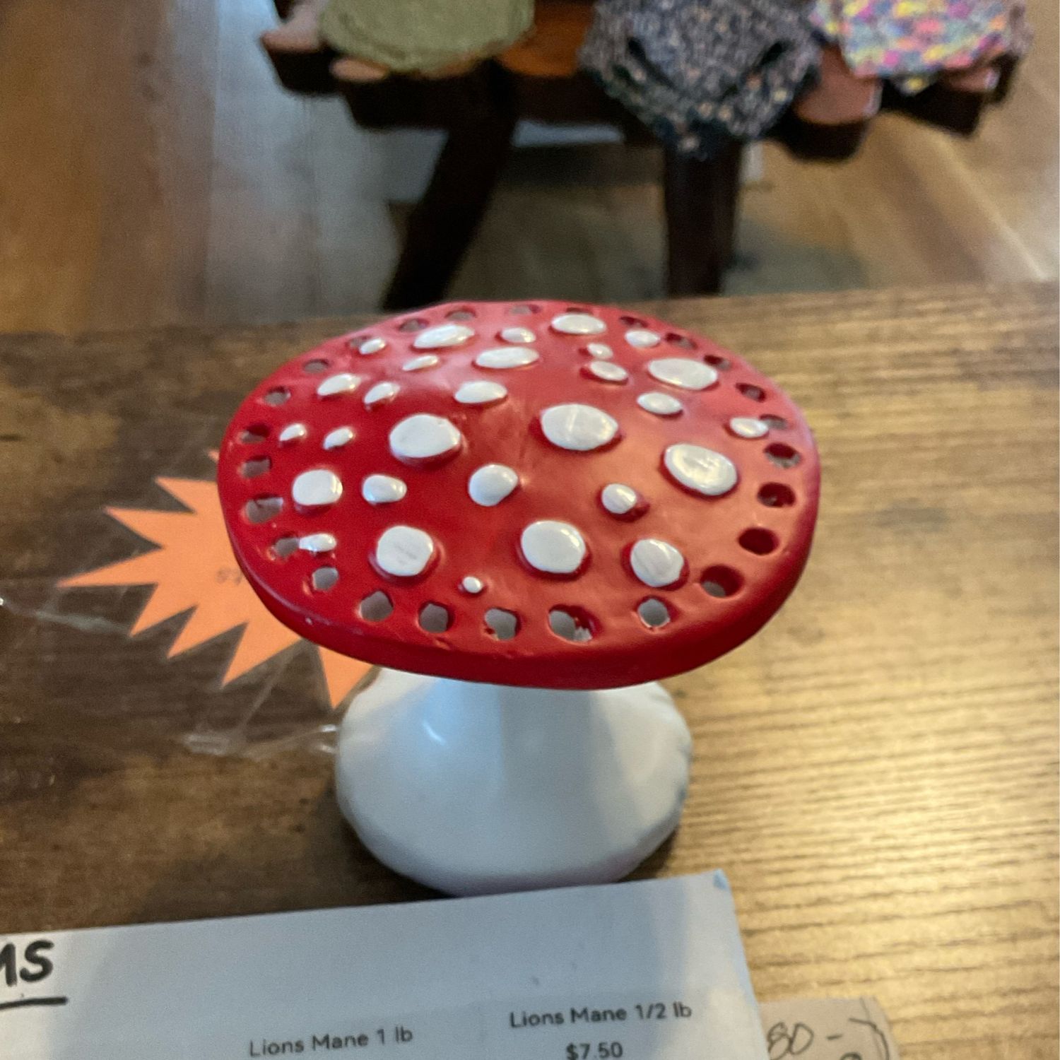 Earring Holder