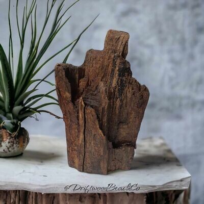 Driftwood