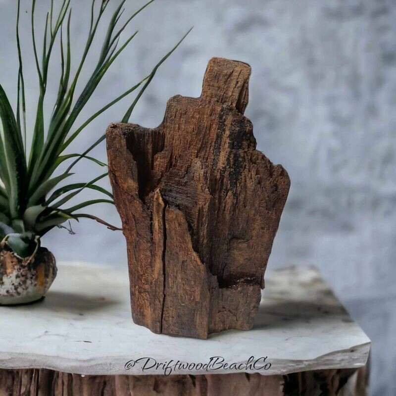 Driftwood