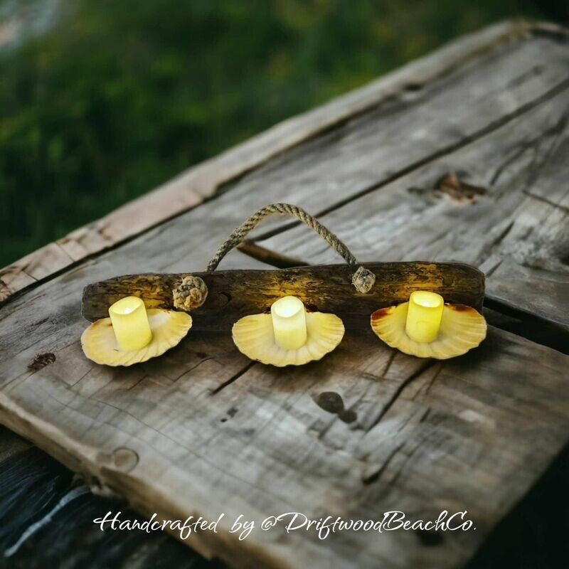 Driftwood & Scallop Shell Candle Holder