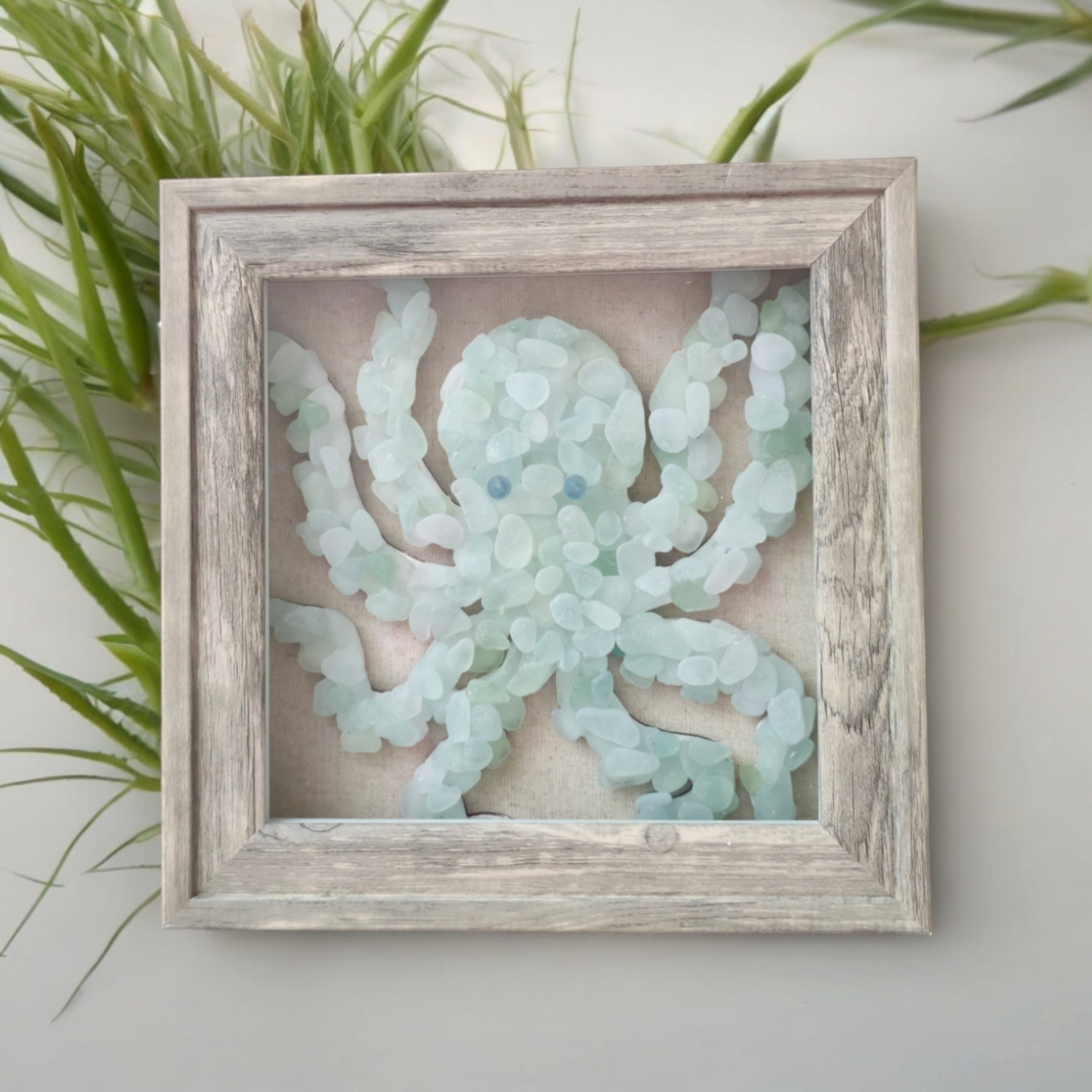 Seaglass Octopus in grey washed boxed frame