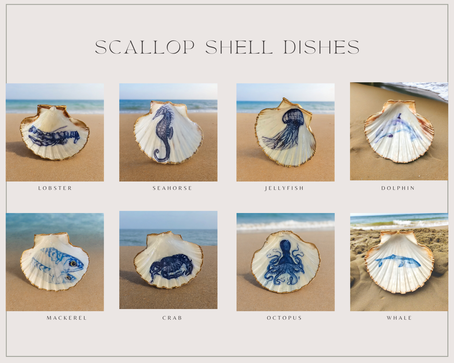 Scallop Shell Trinket/Soap Dish