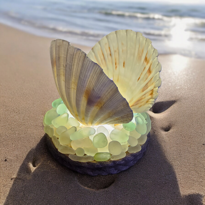 Scallop Shell Lamp