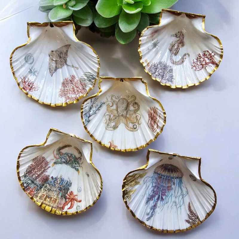 Scallop Shell Soap Dish