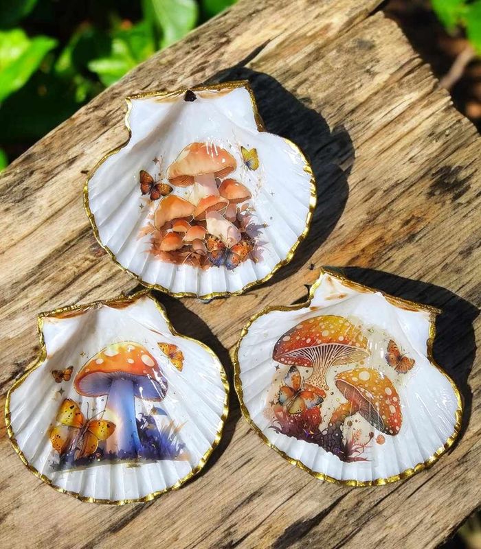 Multi-Purpose Scallop Shell Dish Mushroom design