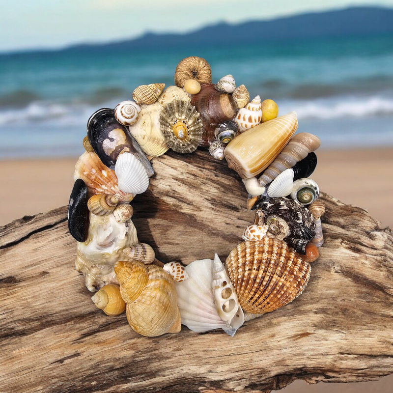 6" Shell Wreath