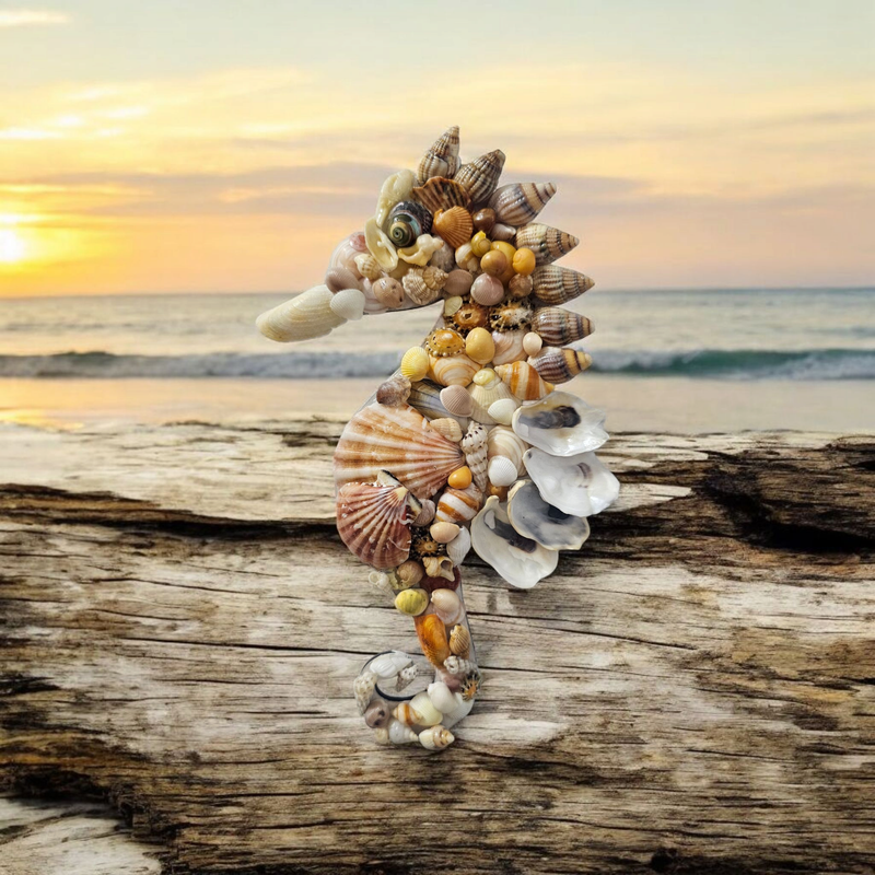 Shell Seahorse wallhanging