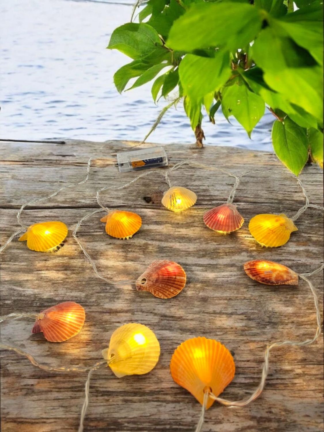 Scallop Shell String Lights