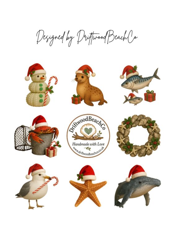Sea's and Greetings Pack of 8 Christmas Cards (Set 2)