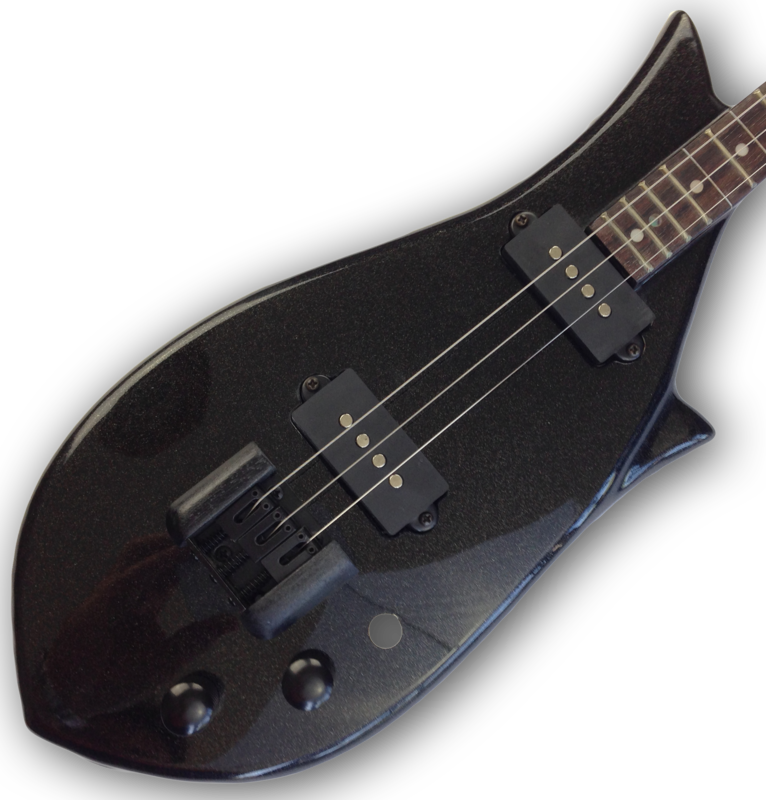 Onyx RalBar™