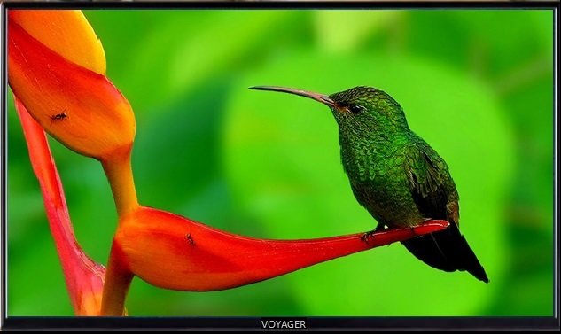 The Transit Series – 40&quot; 12 Volt DC Powered LED Flat Panel HDTV